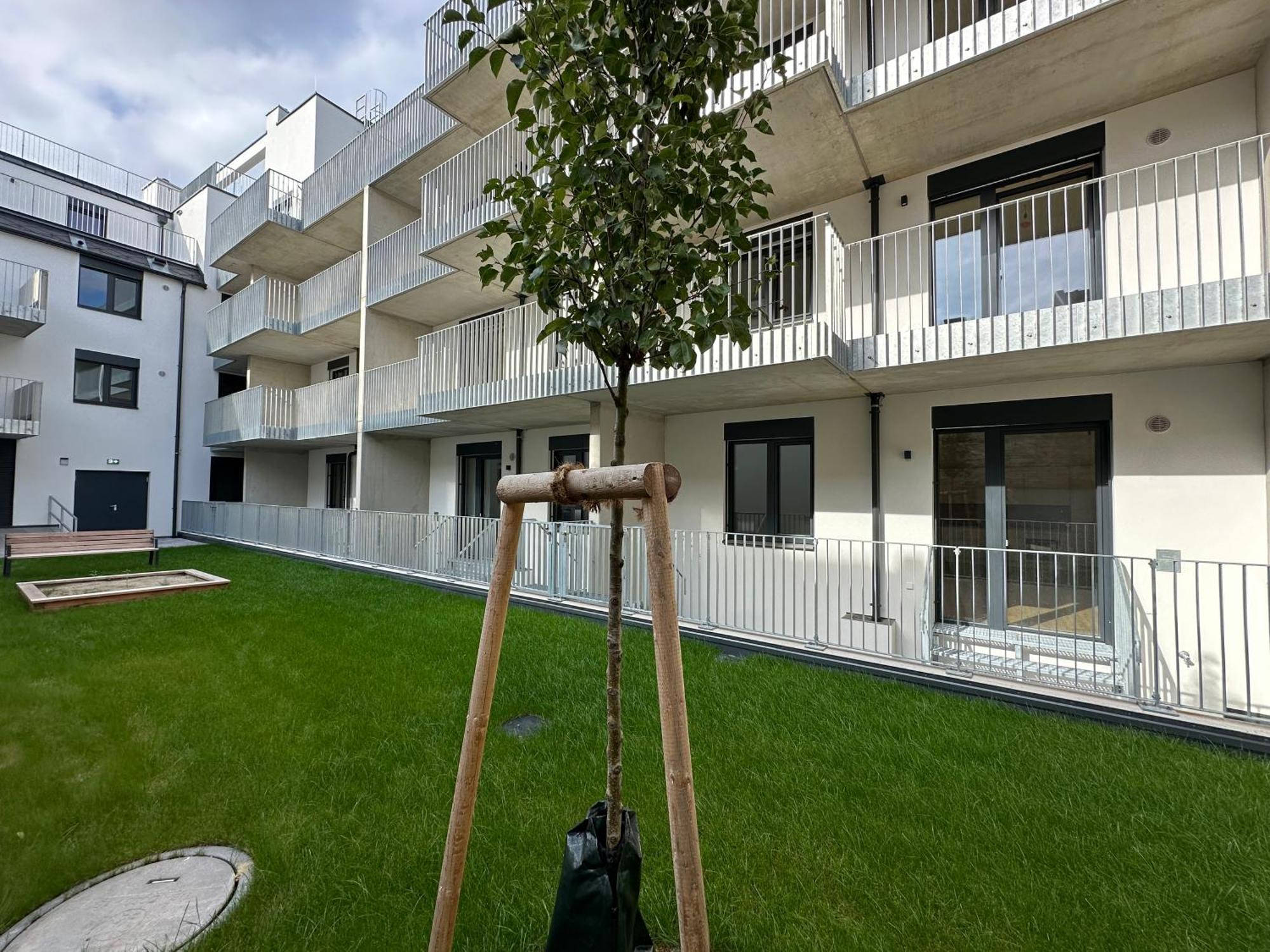 Schoenbrunn Garden Apartments Viena Exterior foto